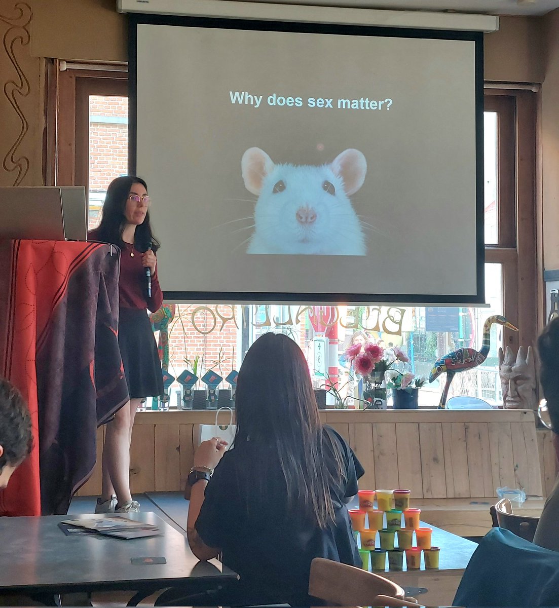 Feminism in research: @Alba_LopezM promoting the inclusion of female subjects in research! 🐭👩🏻👧🏽👩🏻‍🦰 @pintofscienceBE #PintOfScience