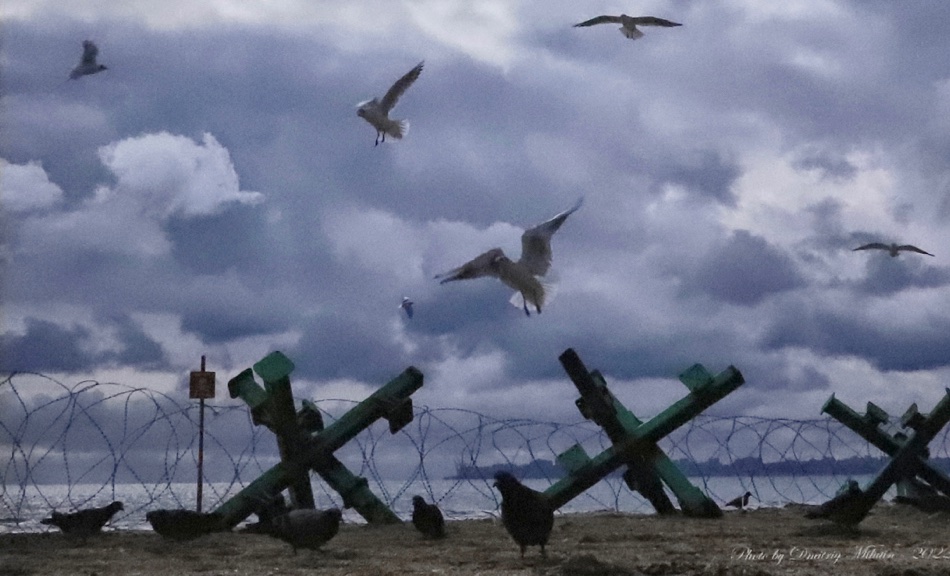 Friends, I will be doing a 3-hour long zoom lecture &amp; conversation about international poetry in time of crisis - on June 10th. All proceeds will go to support refugee center &amp; food bank, writers &amp; independent newspsper in Odesa, Ukraine - here is a link to description: