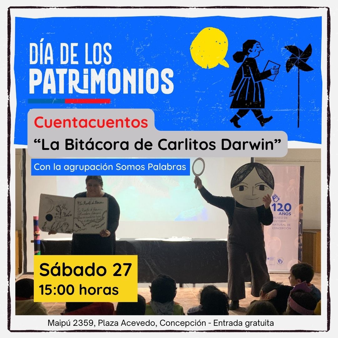 Museo de Historia Natural de Concepción tweet media