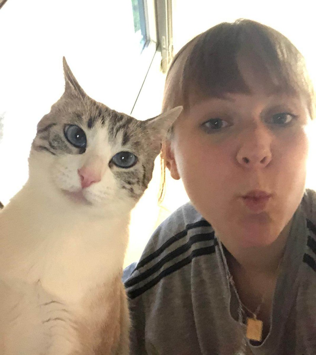 Association L'ArbraChats tweet media