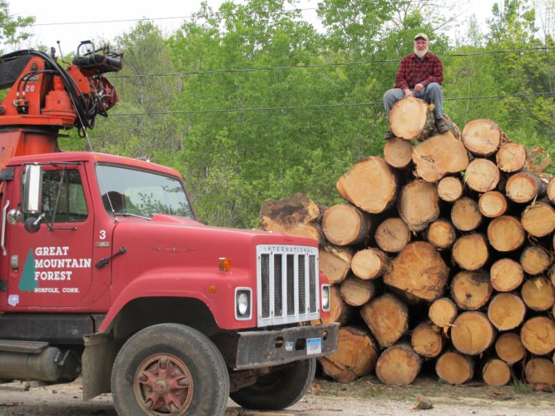 GreatMtnForest's tweet photo. Are you looking for timber or lumber? Great Mountain Forest offers sustainably harvested, locally sourced, air dried and milled in-house lumber. If you have logs to mill, we can do that too! Contact info@greatmountaindforest.org for more information. https://t.co/bFrsWAydSd
