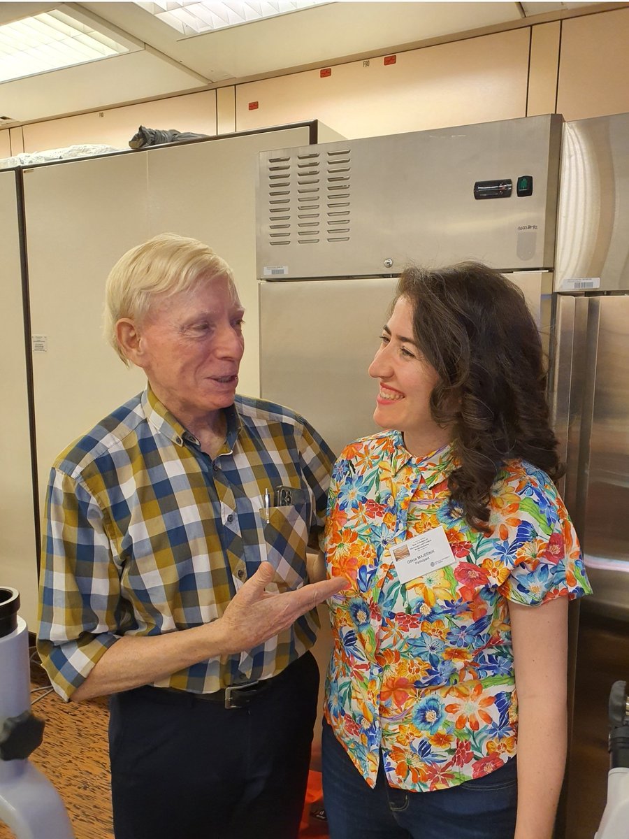 Gökçe Hatipoğlu Majerník tweet media