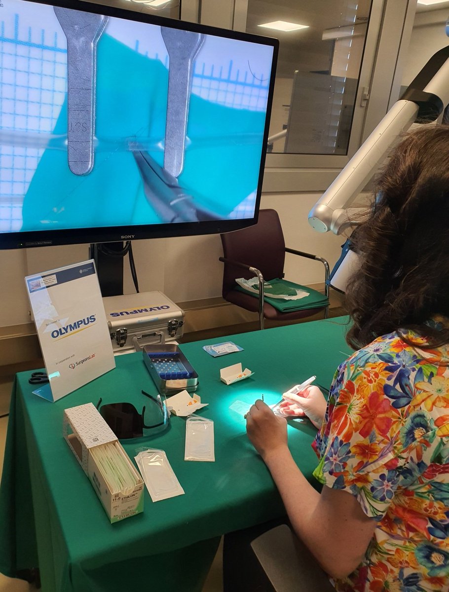 Gökçe Hatipoğlu Majerník tweet media