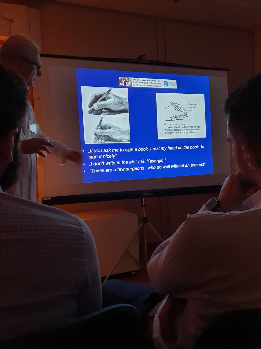 Gökçe Hatipoğlu Majerník tweet media