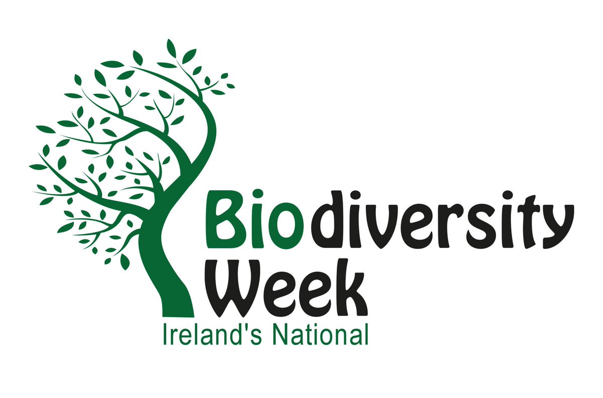 Still time to register for our @IrishEnvNet #biodiversityweek events🗓️ this Thurs 25 - webinar on Biodiversity Actions Everyone Can Take with @RediscoveryCtr, this Sun 28 - Bird and Bat Box Building in Bailieborough. Find out more & register 📷greenfoundationireland.ie