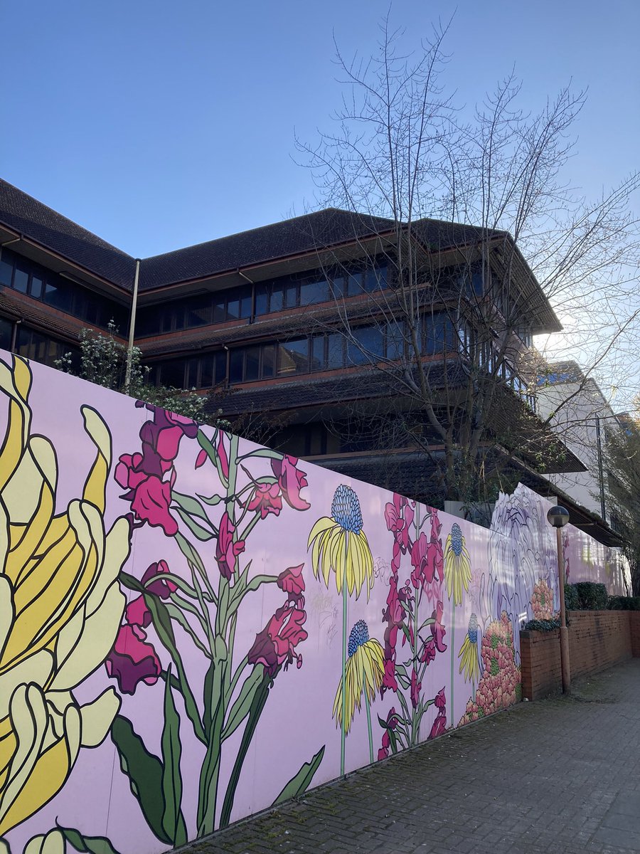 PhoenixCultural's tweet image. Nearly ready to sign lease!  @EcoWorldLondon are helping us but we need volunteers to help open a #grassroots #livemusic #cultural #arts #nonprofit #communityspace in #woking m.facebook.com/story.php?stor… also we’d like to get the lifts working @BBCSurrey @Woking_NewsMail @RadioWoking