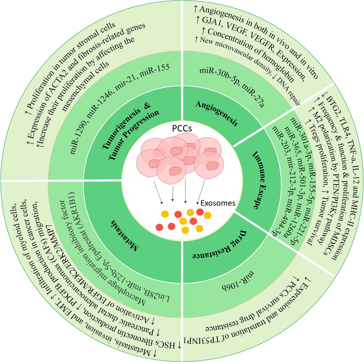 Excellent review of the role of exosomes in the development, progression, diagnosis, follow-up and treatment of #pancreaticcancer.
@PatelOncology @TomasPascualMD @NievesM42607618 
frontiersin.org/articles/10.33…