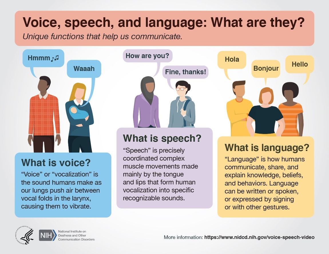 NIH_NIDCD's tweet photo. “Speech” is precisely coordinated, complex muscle movements made mainly by the tongue and lips that form human vocalization into specific, recognizable sounds. Learn about the differences between voice, speech, and language in our new infographic. https://t.co/sudmro36do https://t.co/5nToilWyeN