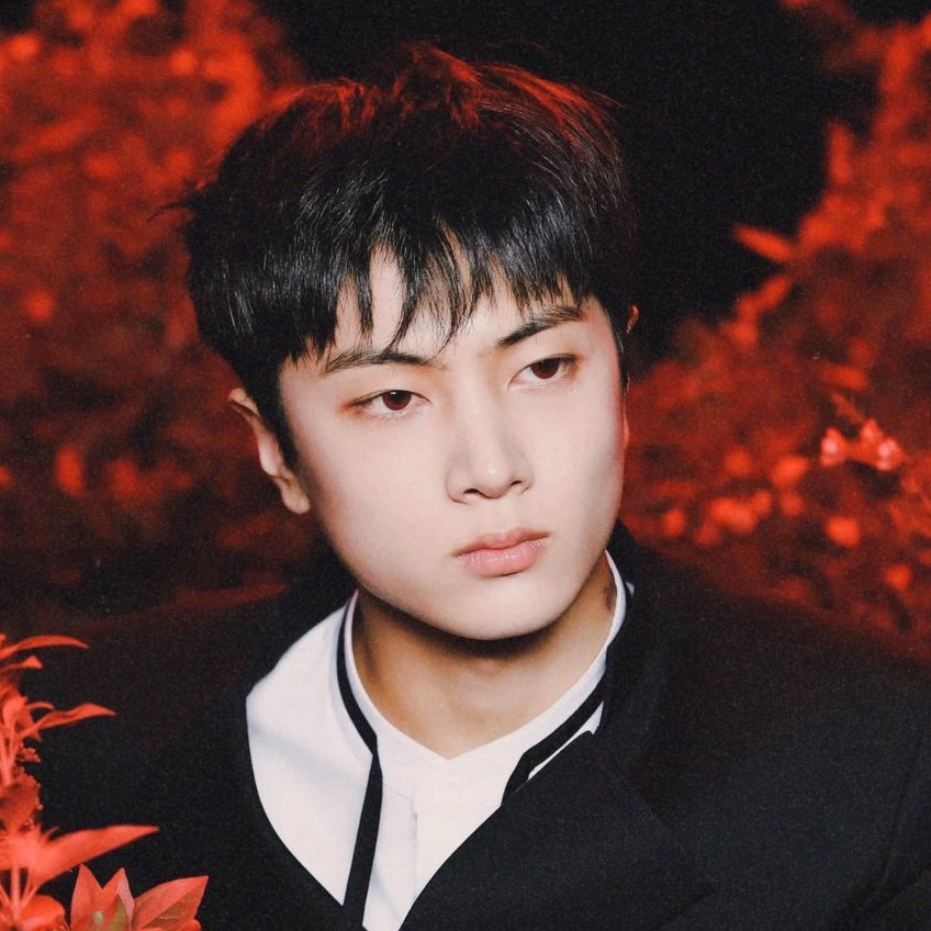 junkuvillero's tweet photo. ㅤㅤⳊ 🦇 busco mutis !  ᶻ 𝘇 𐰁

★ —  hola ! no soy nueva en #kpoptwt, pero estoy buscando mutis para interactuar

★ — ults: enhypen y bts
        ↳otros favs: txt y skz
        ↳oyente casual de otros grupos!

★ — todos los fandoms son bienvenidos

Fav y rt para ser mutis https://t.co/KiMemCQAXJ