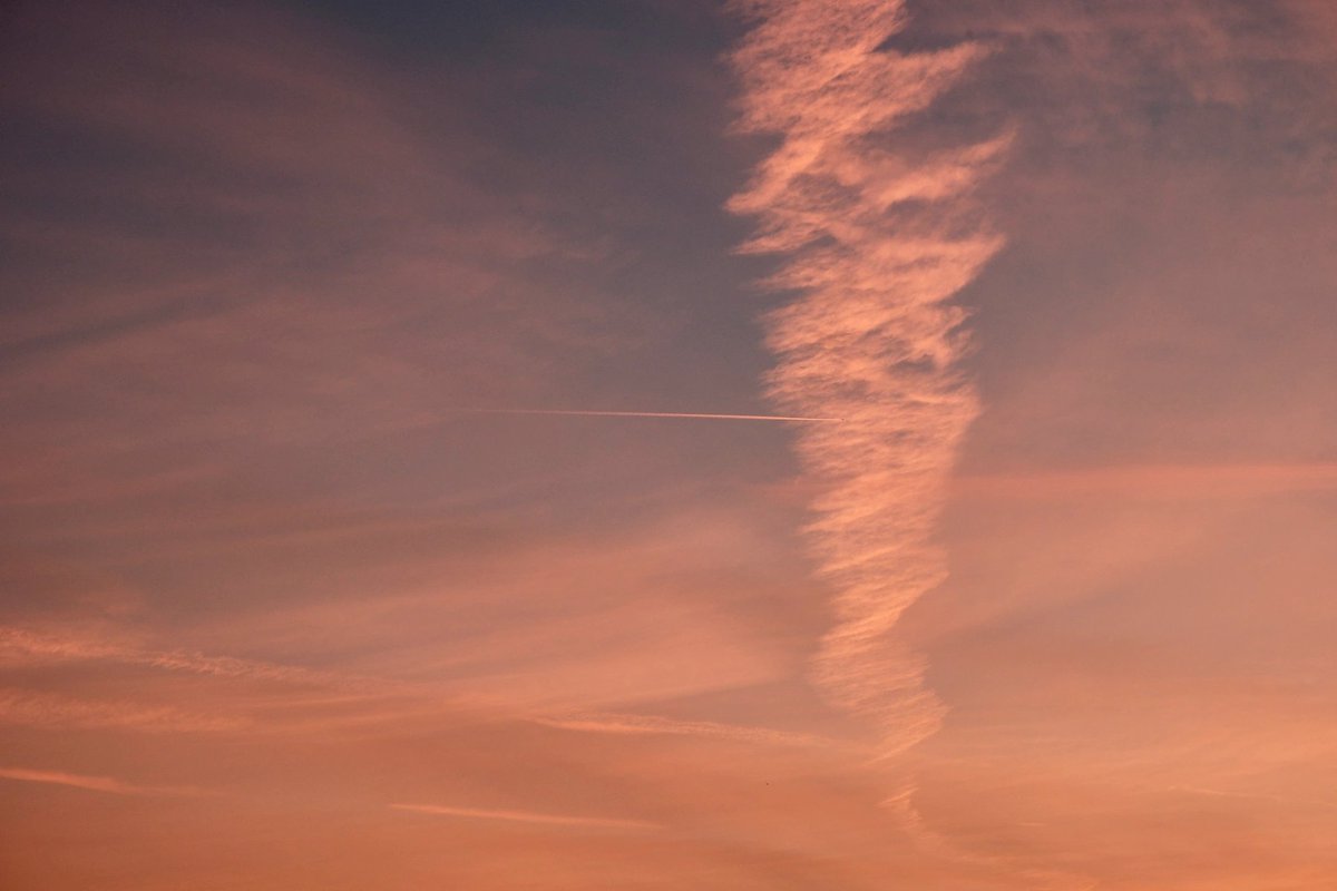 Pink, pink evening sun