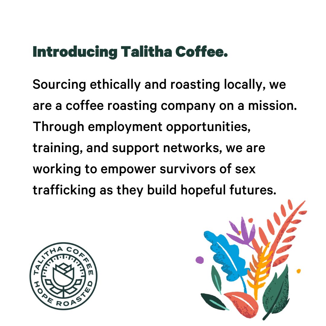 Talitha Coffee tweet media