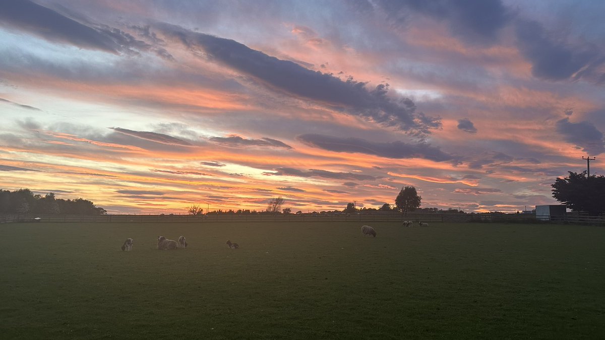 Gorgeous skyline this evening 
View from my back door 😍
#eastlothian #Scotland #sky