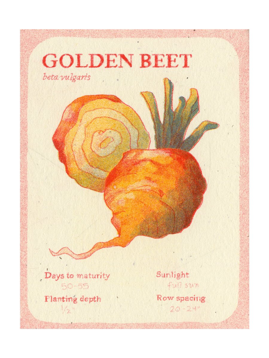 (1/3) my heirloom vegetable trading cards!!!!!!!!!!!! #riso