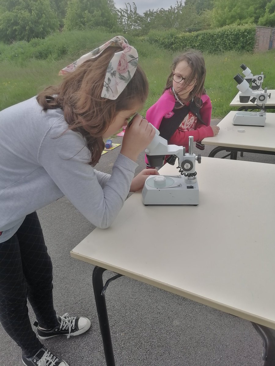 di_credicomax's tweet photo. Phase 2 #ATE inventaire. École hors les murs. Prélèvements des individus #biodiversite de la prairie.  Pose des plaques à reptiles et des capteurs photographiques @AmiensEdd @FabienPle @fab2401 @CPIE_Aisne @Teragir @EcoEcolesCAN @angeliquedicre1 @DSDEN_Aisne https://t.co/2dqzOWuHP2