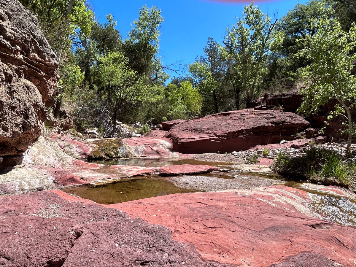 swampmonstah's tweet photo. A glorious day exploring canyons in Patagonia: red rock, stalagmites, gushing springs, 🐟! We are using water chemistry and isotopes to learn more about the geohydrology in this critical region of SE Arizona! @nature_arizona #TNCscience #freshwater https://t.co/5D9UKNrJeE