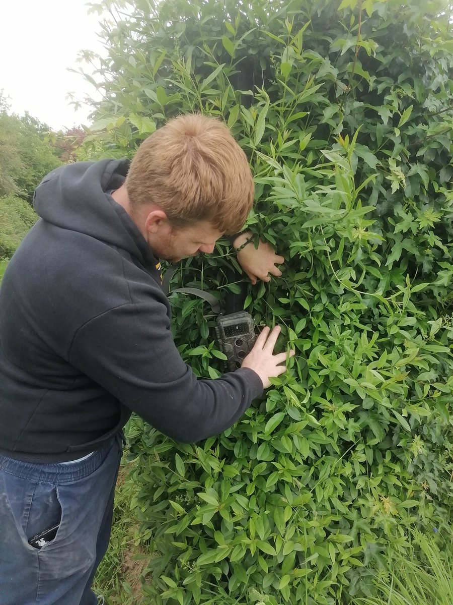 di_credicomax's tweet photo. Phase 2 #ATE inventaire. École hors les murs. Prélèvements des individus #biodiversite de la prairie.  Pose des plaques à reptiles et des capteurs photographiques @AmiensEdd @FabienPle @fab2401 @CPIE_Aisne @Teragir @EcoEcolesCAN @angeliquedicre1 @DSDEN_Aisne https://t.co/2dqzOWuHP2
