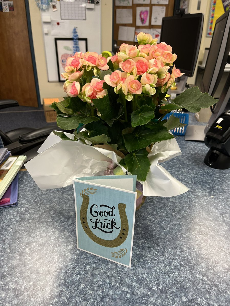 Andrea Colwell tweet media