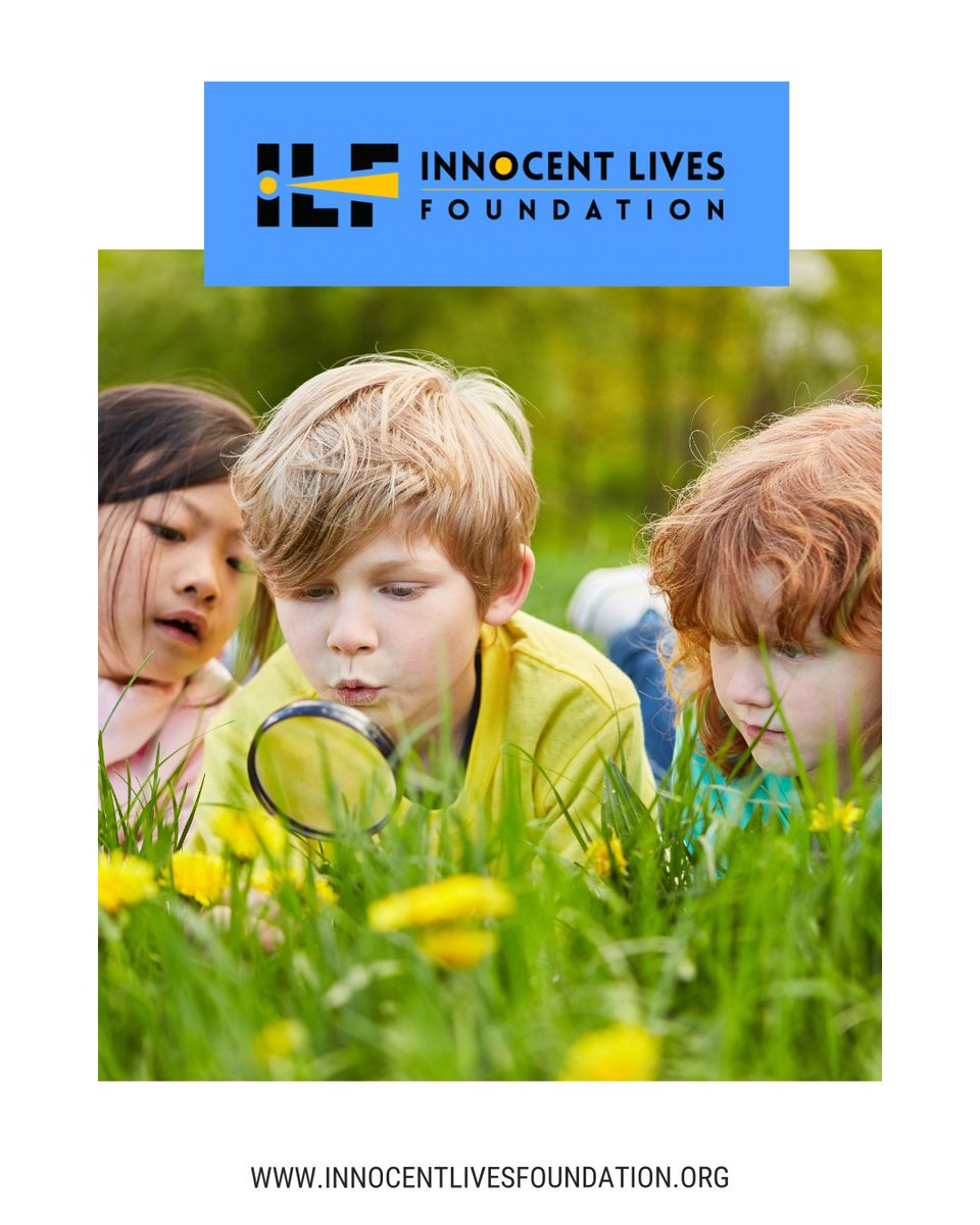 InnocentOrg's tweet image. We know that the topics of child exploitation and trafficking are tough. So, today we are just posting a photo of children playing in a field of flowers. Consider this a virtual hug from ILF. #YouGotThis #KeepYourHeadUp #ILF #InThisTogether