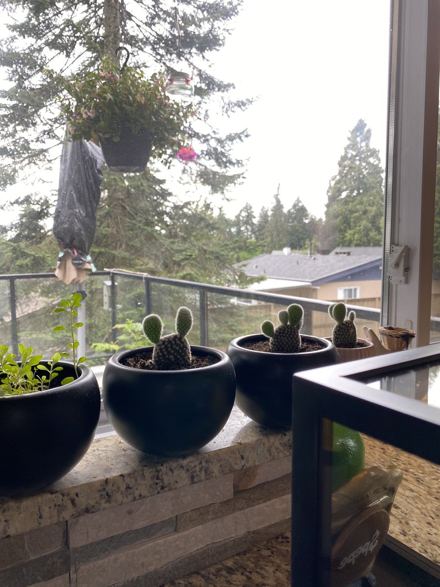 Hey <a href="/veefriends/">VeeFriends</a> <a href="/pepecoineth/">Pepe</a> grow something