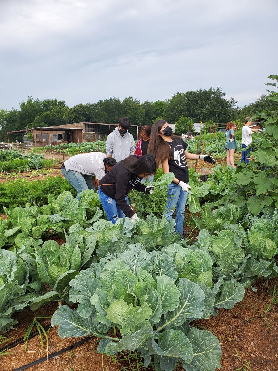 Teresa Walker tweet media