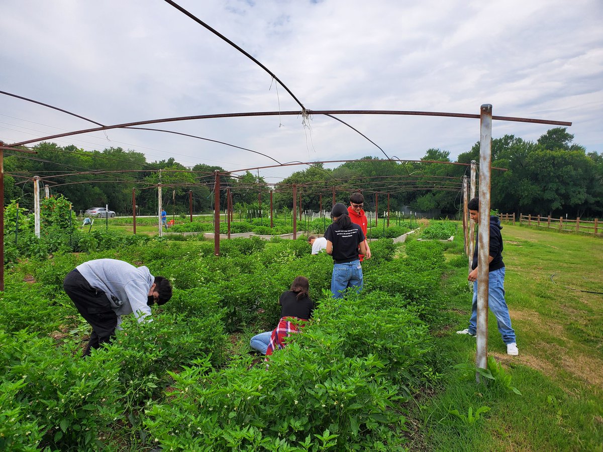 Teresa Walker tweet media