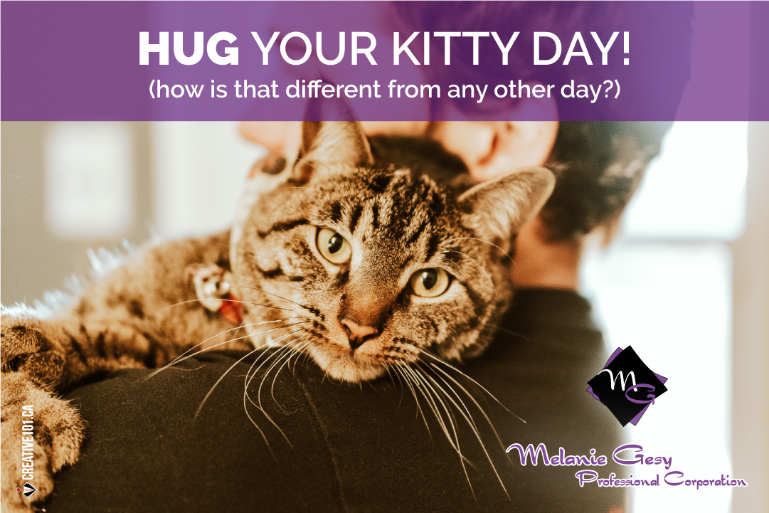#NationalHugYourCatDay 
Cat owners know that we do THAT EVERY DAY! 🤣🐱 Just today, we have a reason. 

Enjoy your Sunday. 💜

#LeducBusiness #LeducAccounting #LeducAccountant #LeducBookkeeping #EdmontonAccountant #LeducTaxes