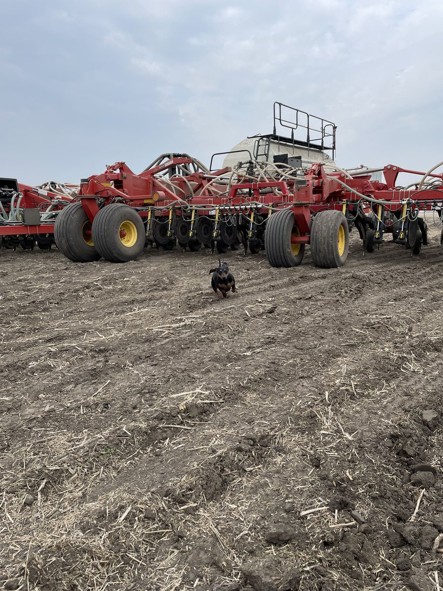 Take the wiener to work day ✅