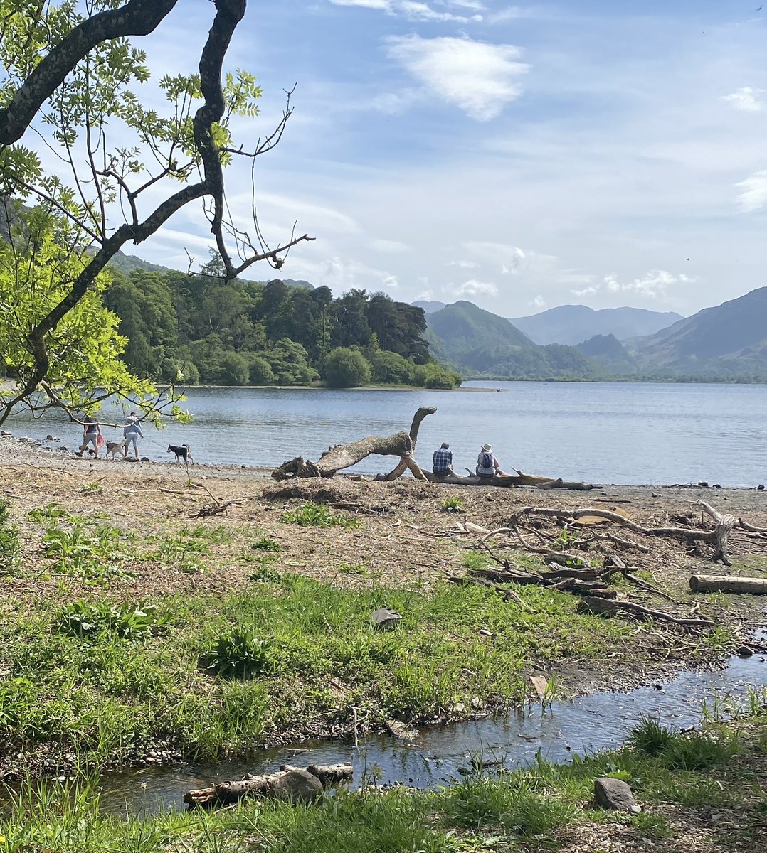 It’s behind you 😱 Derwentwater Nessie spotted by the wife on her walk today