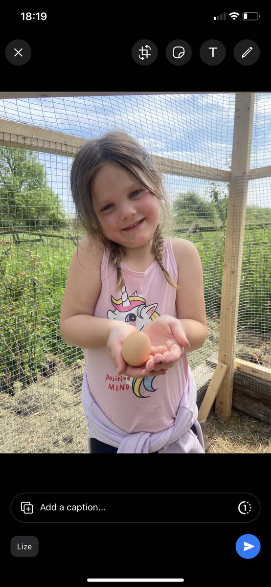 CayKendall tweet media