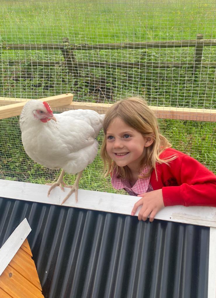 CayKendall tweet media