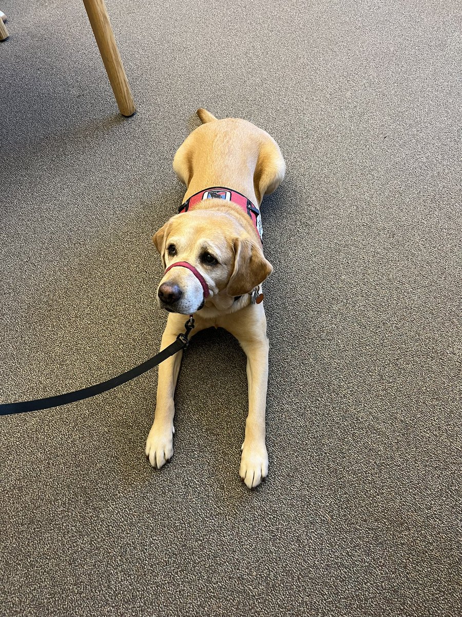 CameronMSFramgingham tweet media