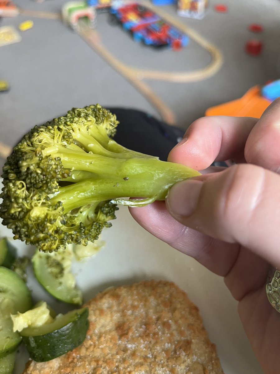 laurraa90's tweet photo. @sainsburys any reason the broccoli I bought from your store today has bugs in it? Whole dinner had to be thrown in the bin 🤮 https://t.co/FwaQuUX5uv