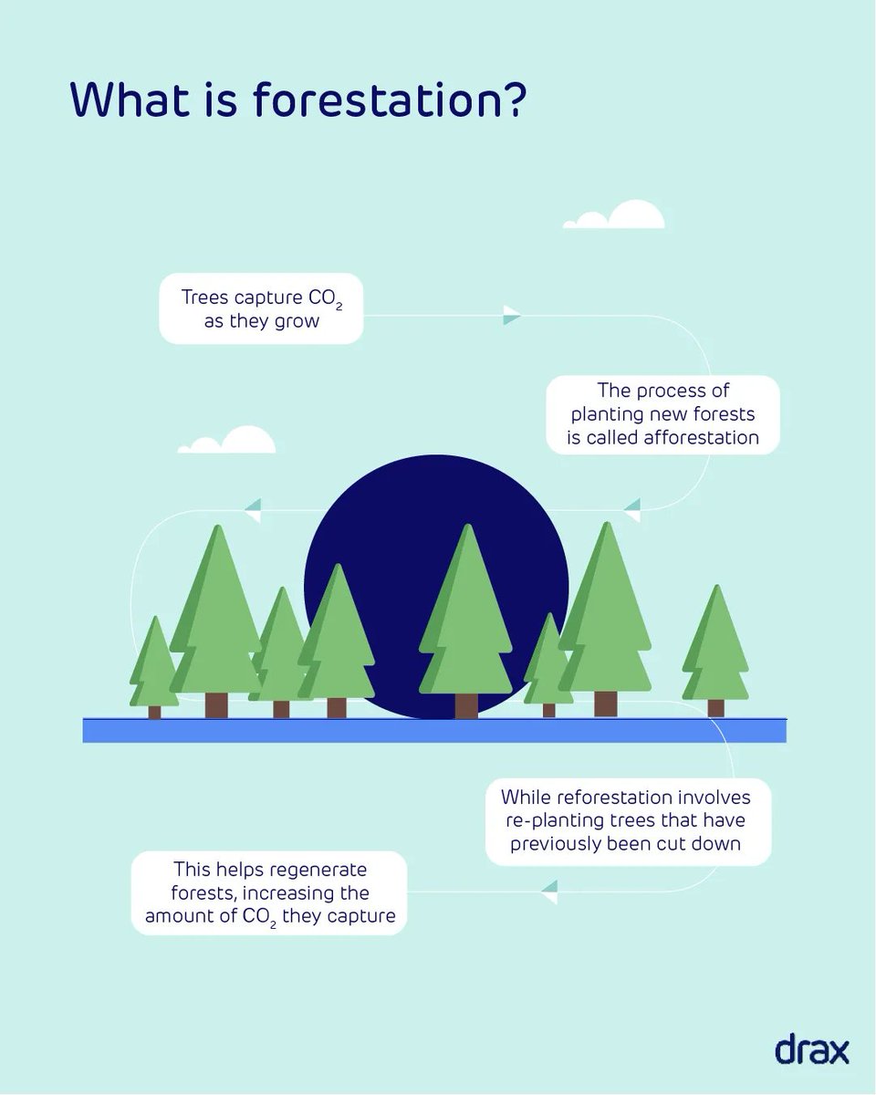 Reforestation and afforestation are two of the leading nature-based solutions for tackling the effects of climate change. But what are they? 🌲 

Learn more: buff.ly/3MhsOkB