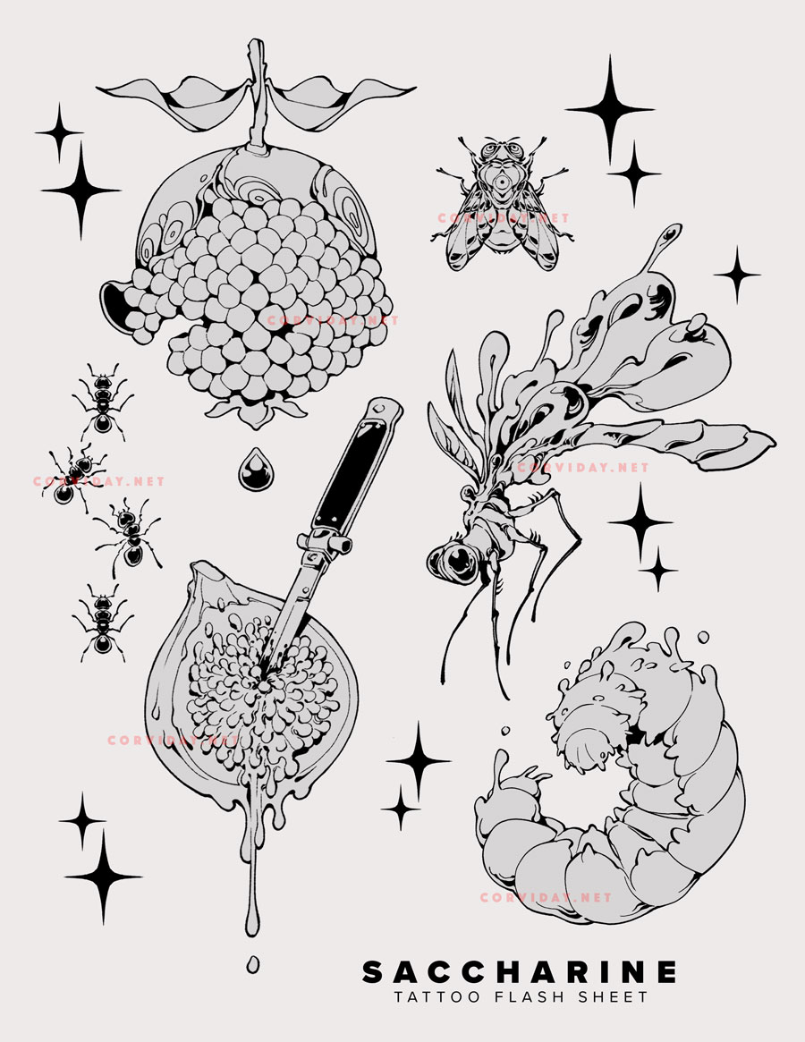 (cw: insects) new tattoo flash sheet available for physical and digital purchase!   
