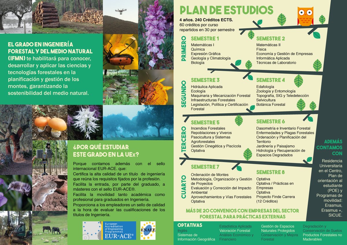 UEx Plasencia tweet media