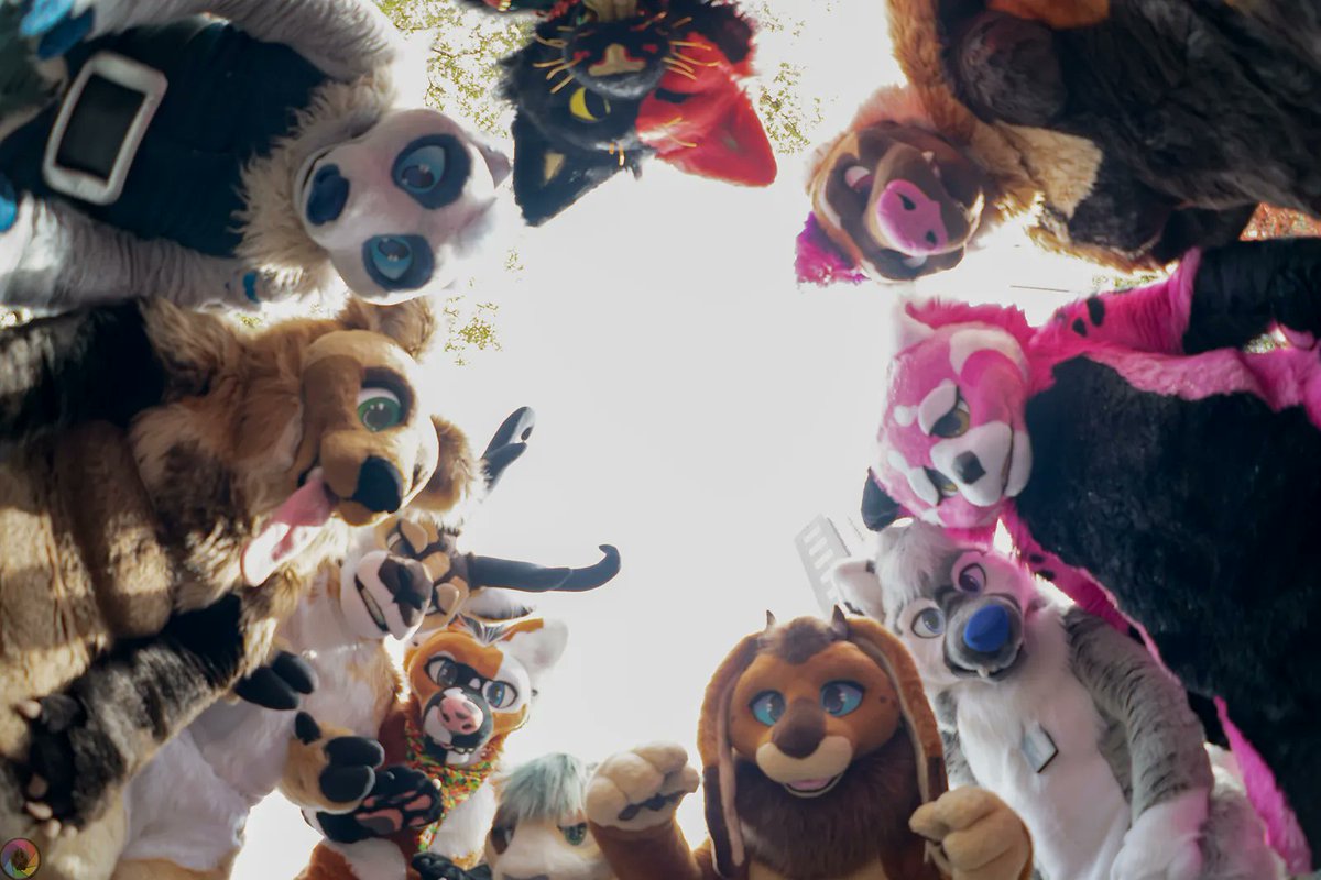 ShagpokeStudios's tweet photo. ✨ You wake up to see this.. what do you do? ✨ 

📸 @BEF_Photography https://t.co/5NigC7JBuH
