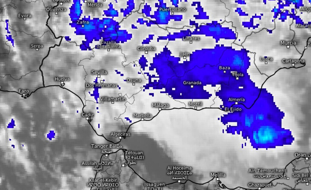 ElAmigoInformatico🏆💯 tweet media