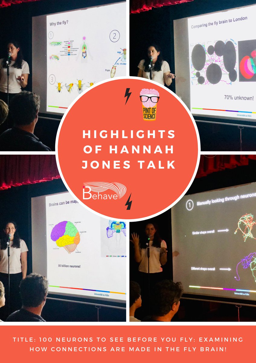 🌟Highlights of iBehave - @pintofscienceDE event🍻 Hannah Jonnes showcased the complexity of the fly brain and the significance of studying its neural connections. #ibehave #flybrain #outreach #PintOfScience #pint23DE #Pint23
