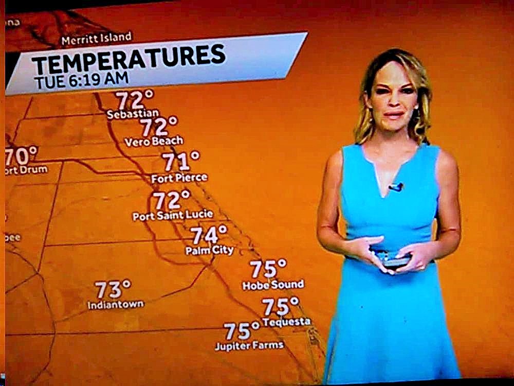 JulieRosePerk's tweet photo. Very Hot &amp; Very Sexy Sandra In Blue &amp; Taylor In Pink Both Looking Very Nice Today! @wpbf_sandra @TaylorGrenda 👗👗👗👗💙💙💖💖 (Very Sexy) https://t.co/I1PG5xuY0f