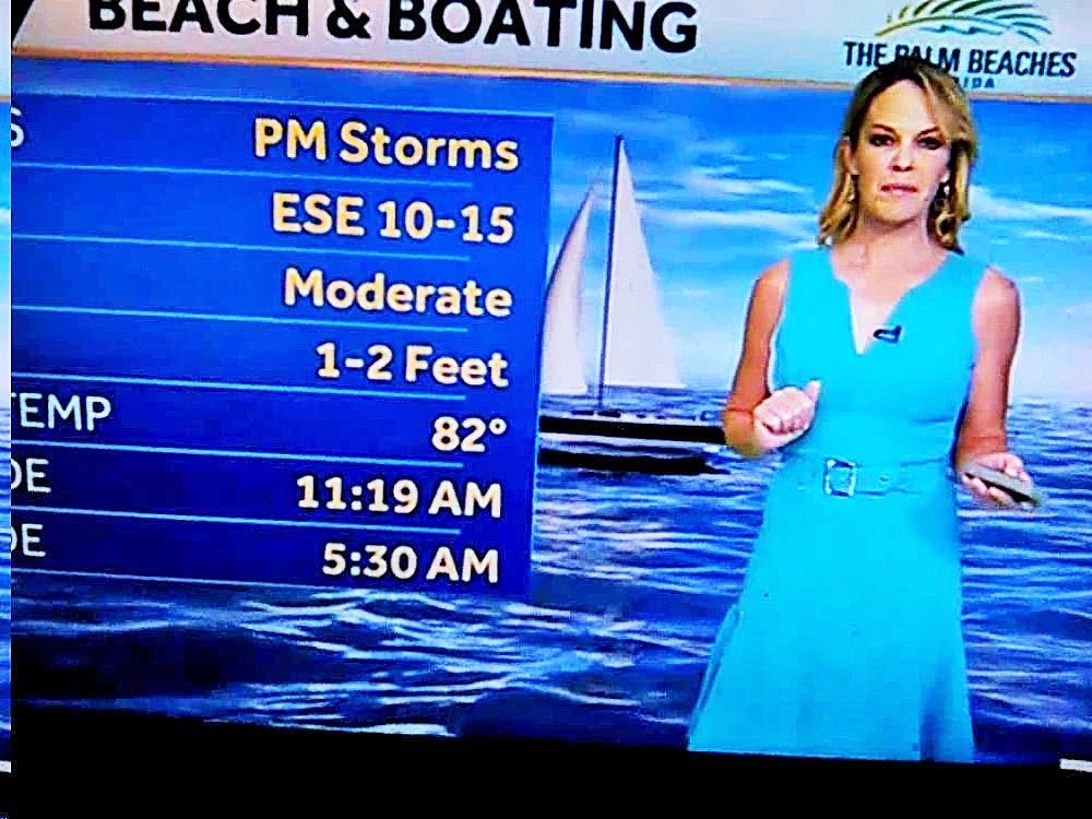 JulieRosePerk's tweet photo. Very Hot &amp; Very Sexy Sandra In Blue &amp; Taylor In Pink Both Looking Very Nice Today! @wpbf_sandra @TaylorGrenda 👗👗👗👗💙💙💖💖 (Very Sexy) https://t.co/I1PG5xuY0f
