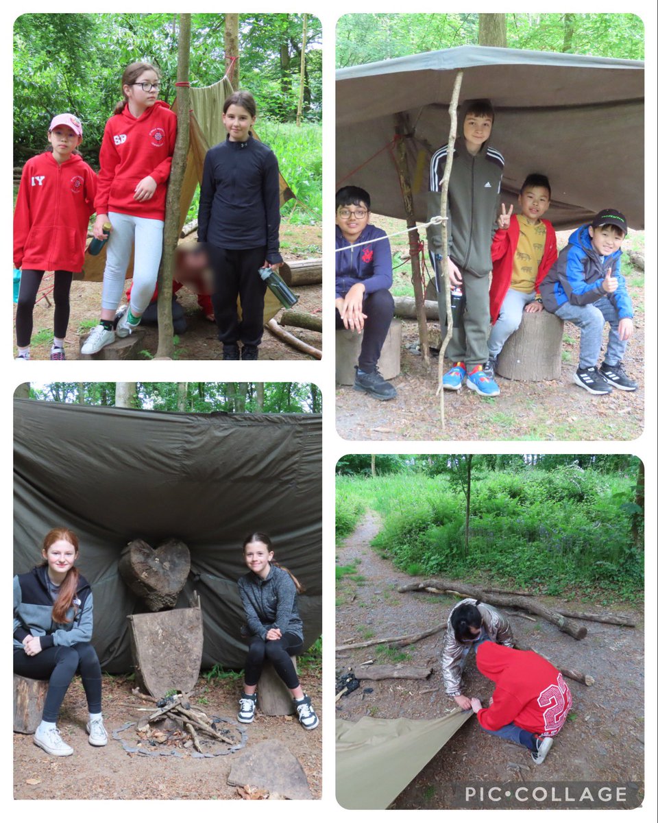 stphilipsy6b23's tweet photo. @StPhilipsY6A @StPhilipsY6C We have some super shelter builders and fire starters! Fun in the woods with Bushcraft this morning! #teamstphilips #StPhilipsCEAPS https://t.co/irFKBzvWhP