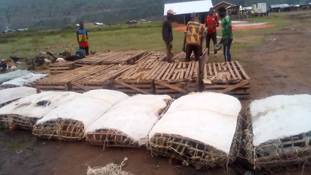 mugsamu's tweet photo. Economic  transformation of Bunyoro region is  becoming more visible, due to improved road infrastructure  linking to the previously hard to reach areas  attracting private water  vessel investors  transporting goods &amp; passengers from Buhuka Parish, Kikuube district  to DRC.👍 https://t.co/kmwBHuZrIX