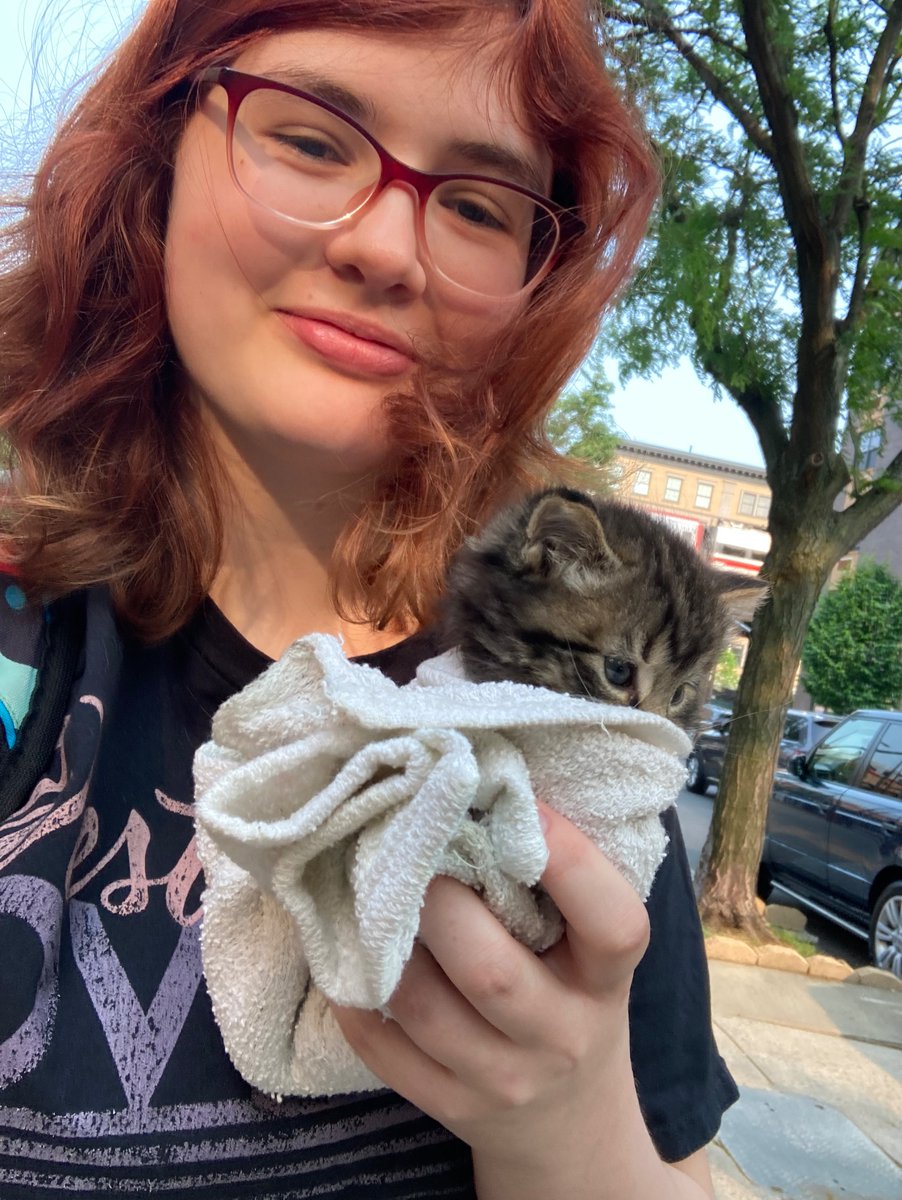 TrashyTruuMoo's tweet photo. I found a kitten and I need a home for her if the ACC doesn’t respond. I’m in NYC and any retweets would be much appreciated!!!
I think she’s about 4-5 weeks. she’s shy but very sweet! https://t.co/jLPn2SFrnn