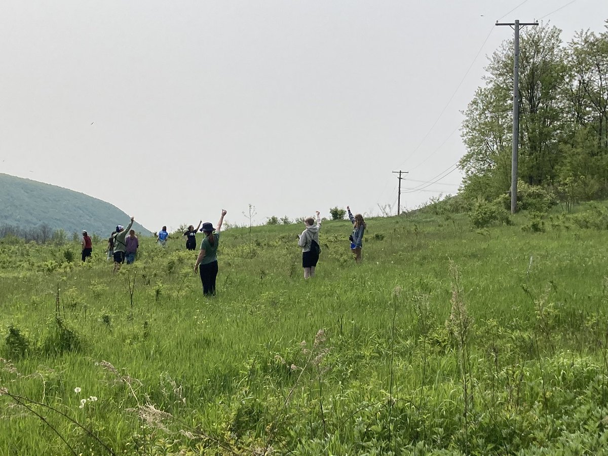 Another great field experience at Muller Field Station.  We learned about the habits of cavity nesting birds, invasive species, bird identification as well as the taking a canoe trip.  Fortunate to work with great students and great content.  #wearemidlakes #FLCC  #geminienviro