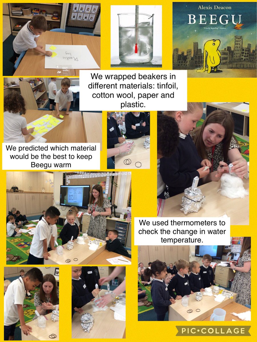 FPS_1_Dolphins's tweet image. Data Handling. Investigating which material would keep Beegu dry #fpsscience