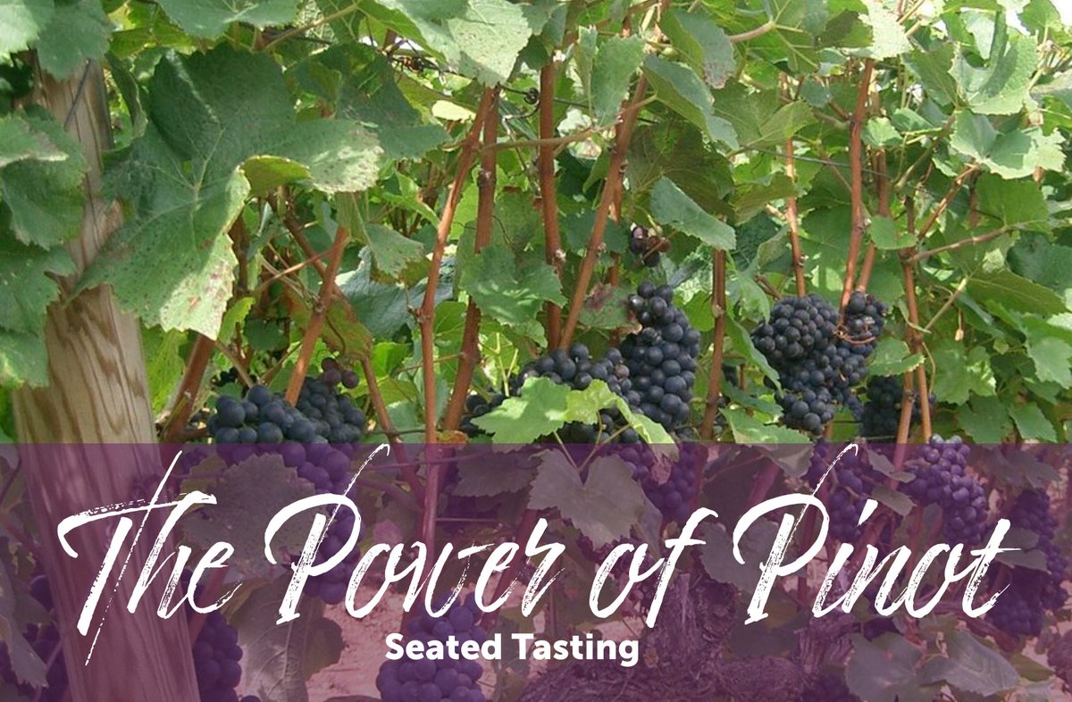 The Power of Pinot Seated Wine Tasting - Friday, May 26 @ 7 PM - mailchi.mp/vintagewinecel…