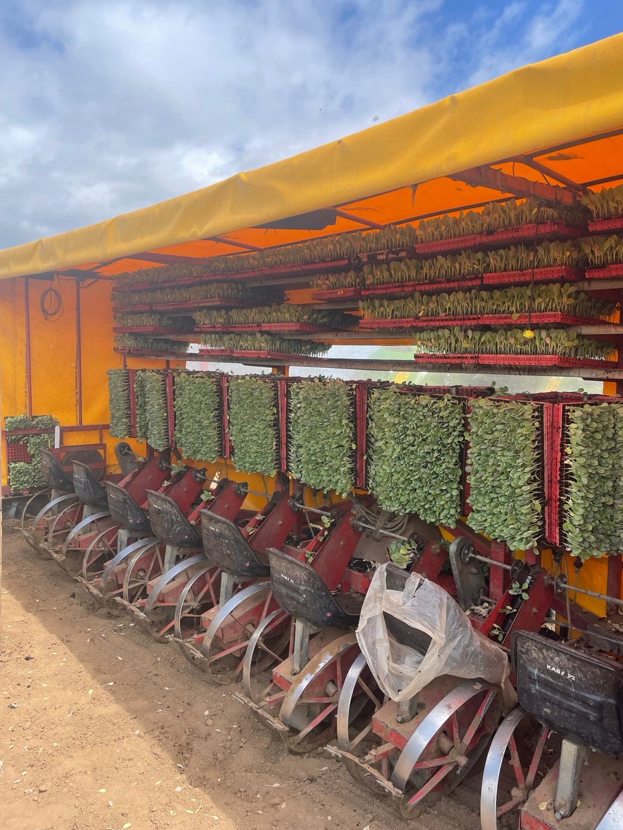 The team have had the pleasure of being out and about with Lincolnshire Field Products today to discuss supply chain, sustainability and carbon. They even got to watch the sprouts being planted! #sustainability #sustainableagriculture #freshproduce