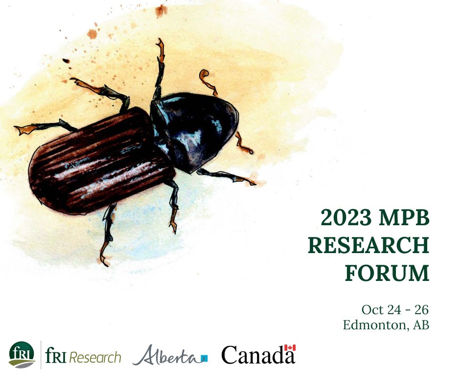 Exciting news! The Federal-Provincial Mountain Pine Beetle Research Forum is returning this fall, Oct. 24-26 in Edmonton. Don't miss out! Find more info and tickets here: friresearch.ca/news/federal-p… #fRIResearch #MountainPineBeetle