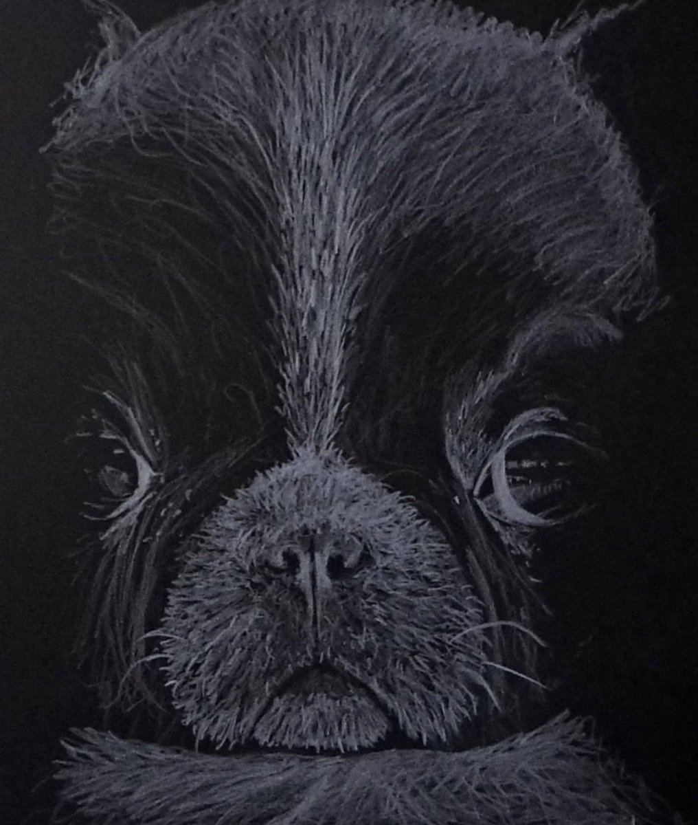 artxvorg's tweet image. -DARREN HALL- A Portrait and a Puppy.
ARTXV artist, Darren Hall&apos;s glossy-eyed sketch illustrations. Find more of his artwork @dhartsstudio 
•

•

•
#neurodiversity #disabilityarts #art #inclusion