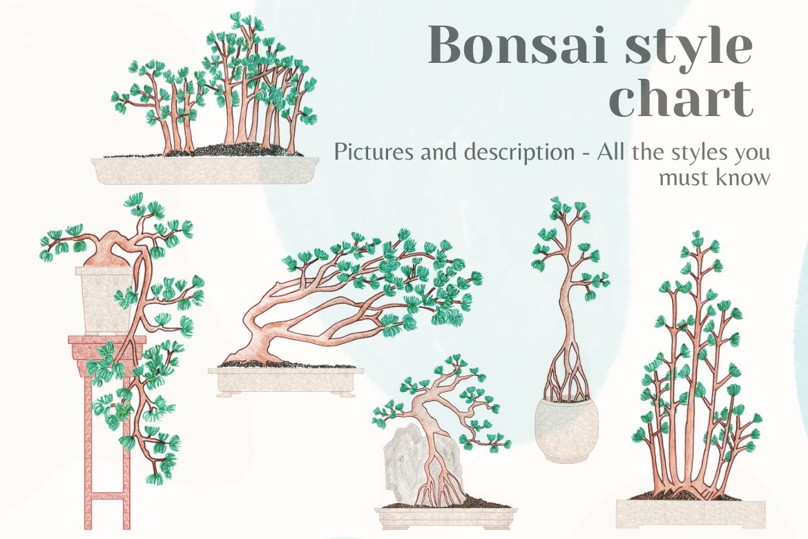 AgroTexGlobal's tweet photo. Bonsai style chart - All the styles you must know 
 
https://t.co/EnSUJ8OCaE
 
#agriculture #agriculturenews #agrinews #agronews #farming #agricultureworld #agrilife #fruit #vegetable #agritech #Krishinews #farmer #producetrade #producenews https://t.co/ahE6ZjwRU8